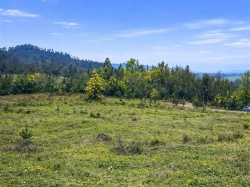 Imagen 7
