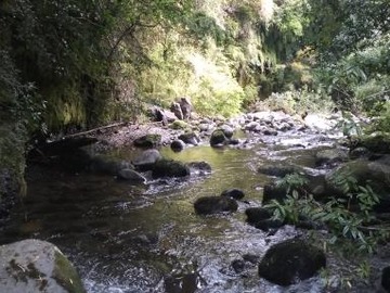 Imagen 2