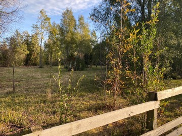 Venta / Parcela / Villarrica