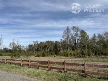 Imagen 7