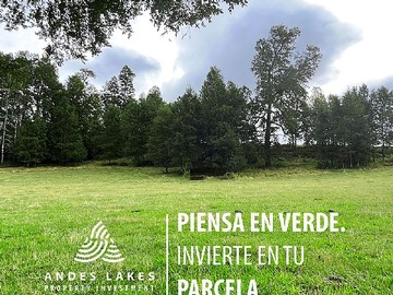 Venta / Parcela / Villarrica