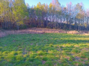 Venta / Parcela / Villarrica