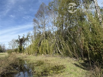 Imagen 12