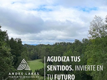 Venta / Parcela / Villarrica