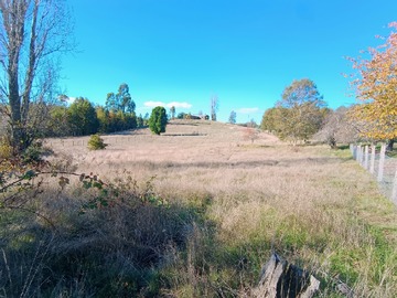 Venta / Parcela / Villarrica
