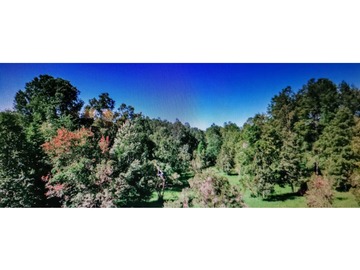 Venta / Parcela / Villarrica