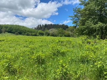 Venta / Parcela / Villarrica