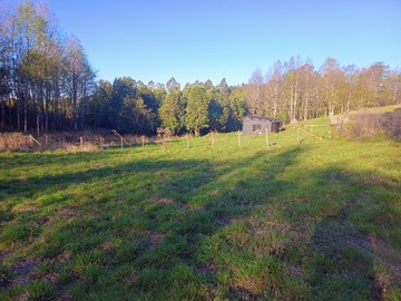 Venta / Parcela / Villarrica