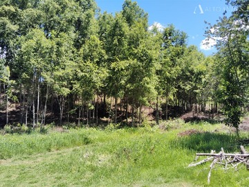 Venta / Parcela / Villarrica