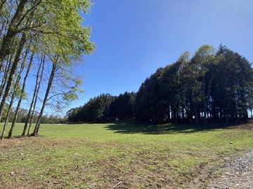 Venta / Parcela / Villarrica