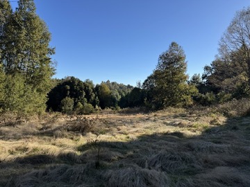 Venta / Parcela / Villarrica