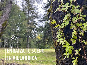 Venta / Parcela / Villarrica