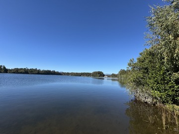 Venta / Parcela / Villarrica