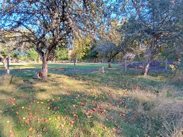 Venta / Parcela / Villarrica