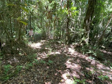 Venta / Parcela / Villarrica