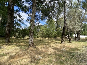 Venta / Parcela / Villarrica