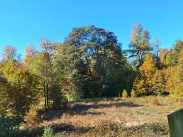 Venta / Parcela / Villarrica