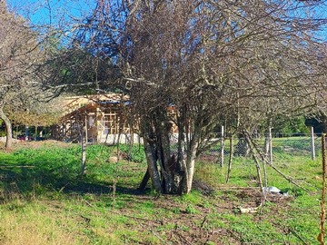Imagen 4