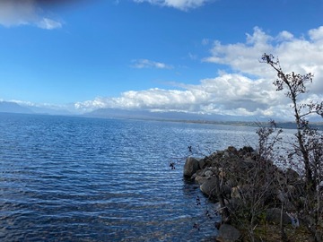 Venta / Parcela / Villarrica