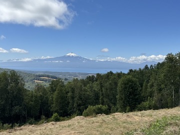 Venta / Parcela / Villarrica