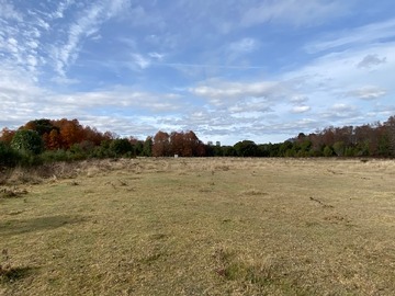 Venta / Parcela / Villarrica