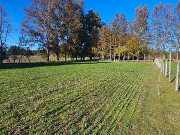 Venta / Parcela / Villarrica