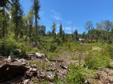 Venta / Parcela / Villarrica