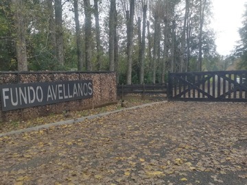 Venta / Parcela / Villarrica