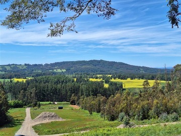 Venta / Parcela / Villarrica