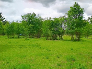 Venta / Parcela / Villarrica