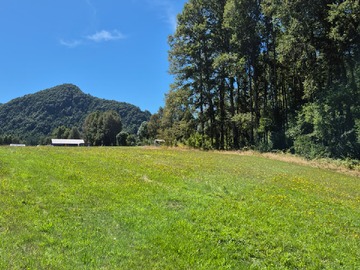 Venta / Parcela / Villarrica
