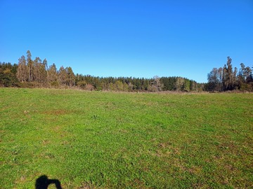 Venta / Parcela / Villarrica