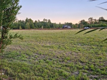 Venta / Parcela / Villarrica