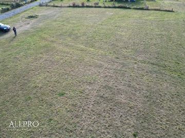 Imagen 8
