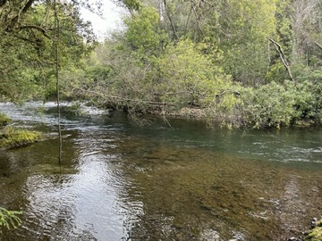 Venta / Parcela / Villarrica