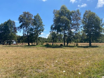 Venta / Parcela / Villarrica