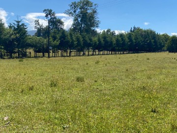 Venta / Parcela / Villarrica