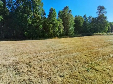 Venta / Parcela / Villarrica