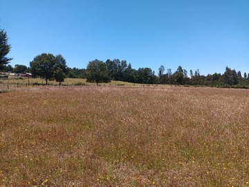 Venta / Parcela / Villarrica