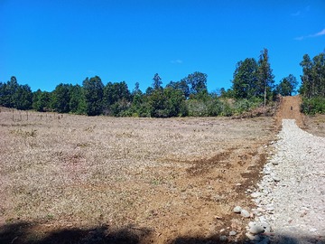 Venta / Parcela / Villarrica