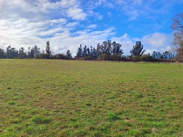 Venta / Parcela / Villarrica