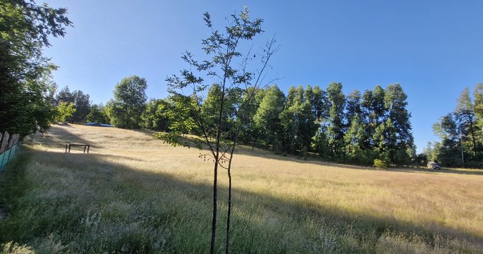 Vista desde el bajo