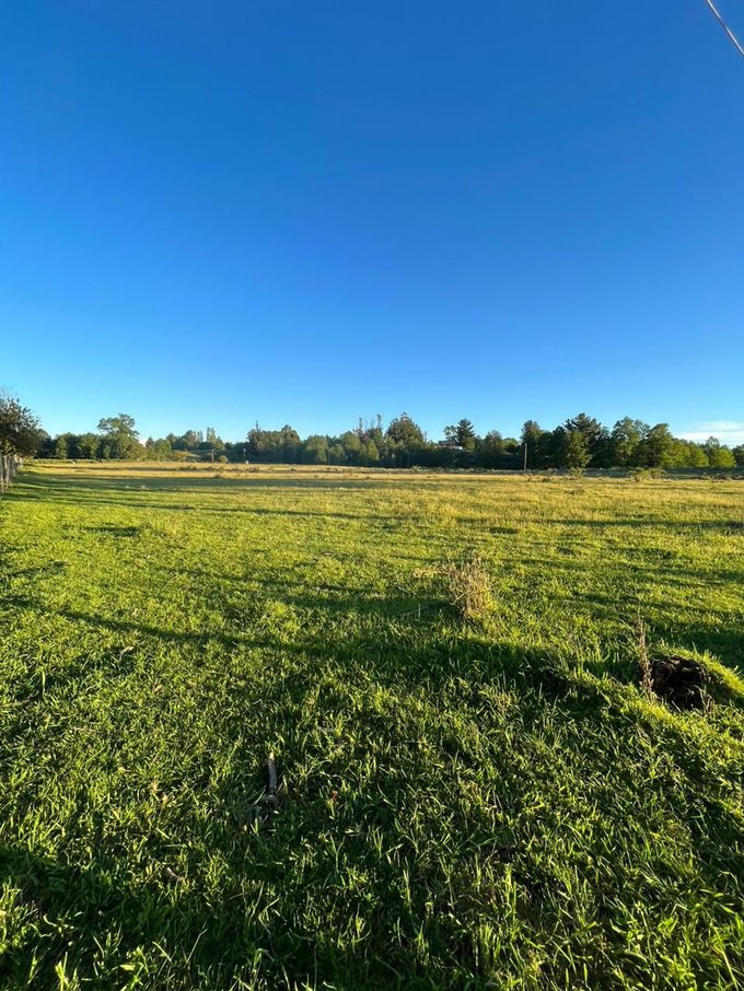 Terreno plano