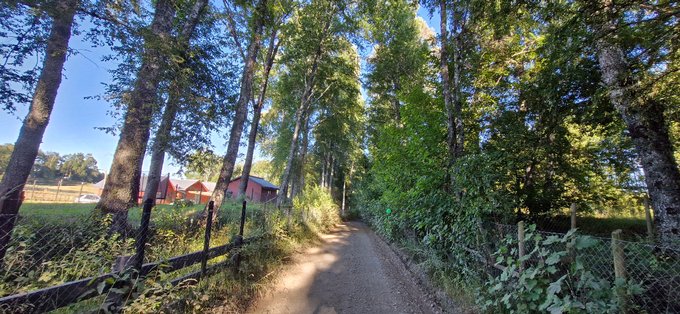 Camino aledaño, parcela a la derecha