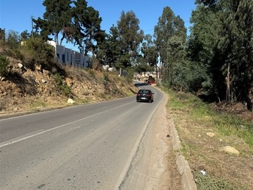 Imagen 13