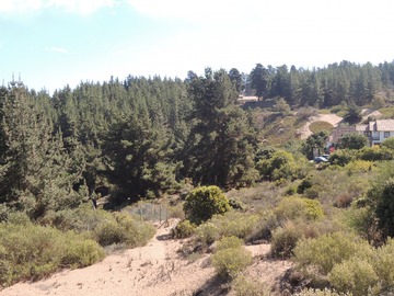 Imagen 7