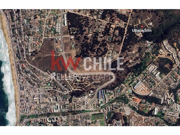 Imagen 16