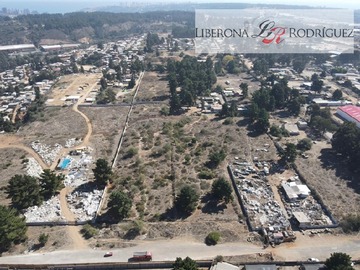 Imagen 6