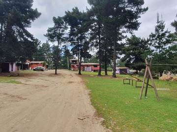 Imagen 4