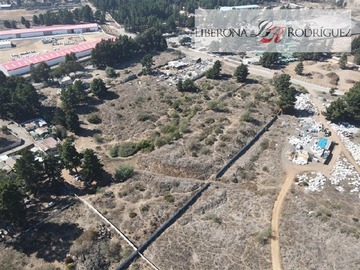 Imagen 5